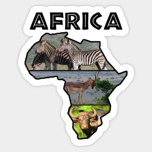 African Wildlife Continent Collage Map Sticker